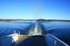 Thumbs/tn_IMG_2230.jpg